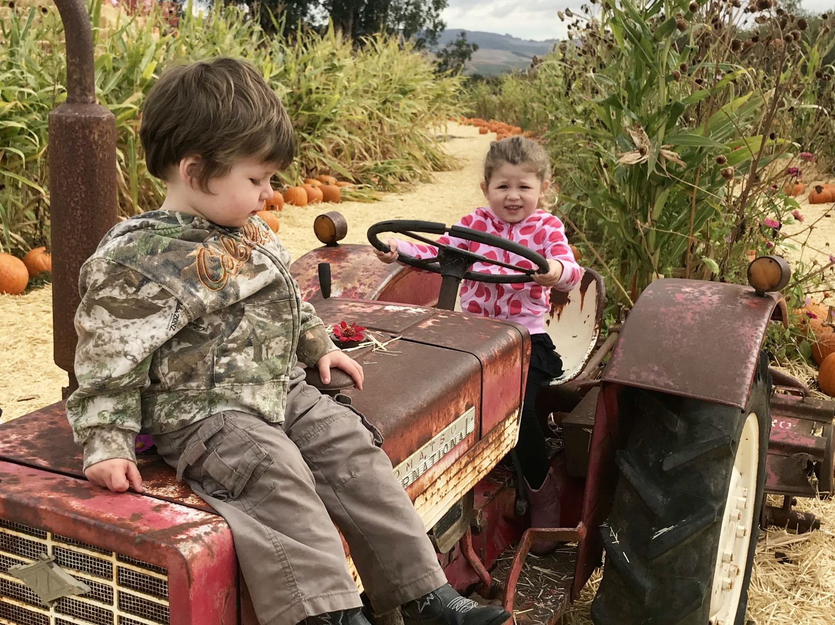 Picking Pumpkins 2017
